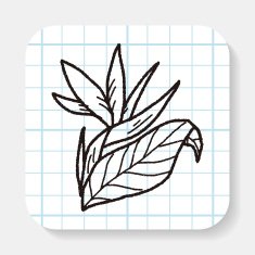 Flower doodle N29