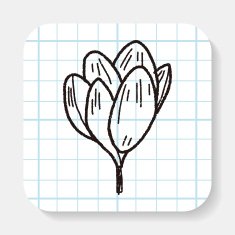 Flower doodle N30