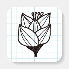 Flower doodle N33