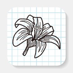 Flower doodle N38