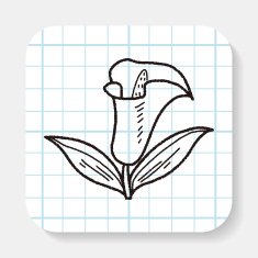 Flower doodle N40