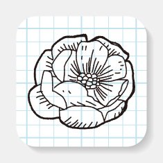 Flower doodle N42
