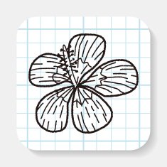 Flower doodle N45