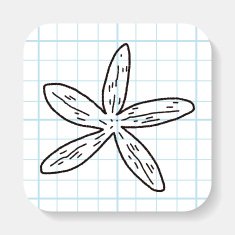 Starfish doodle