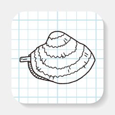 clam doodle