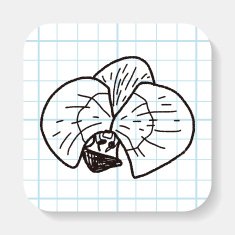 Flower doodle N47
