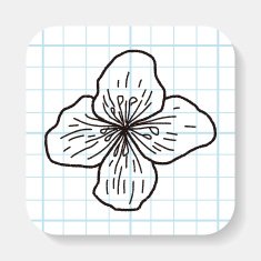 Flower doodle N48