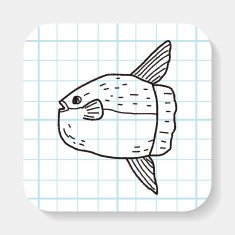 Sunfish doodle