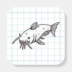 Catfish doodle