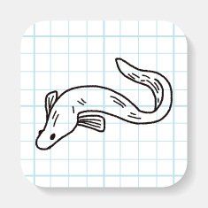 Eel doodle