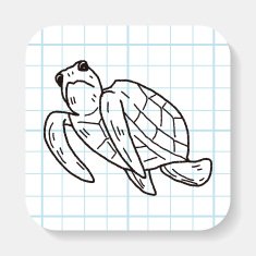 Tortoise doodle