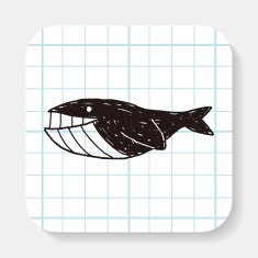 Whale doodle