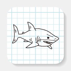 shark doodle N2