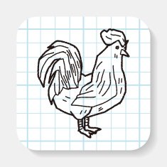 Chicken doodle N5