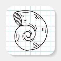 Shell doodle N2
