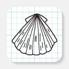 Shell doodle N3