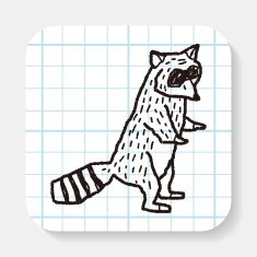 raccoon doodle