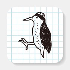 woodpecker doodle