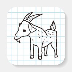 sheep doodle N4