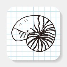 Shell doodle N7
