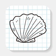 Shell doodle N8