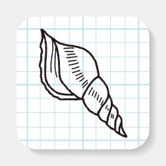 Shell doodle N9
