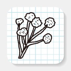 mushroom doodle N4