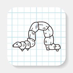 caterpillar doodle N2