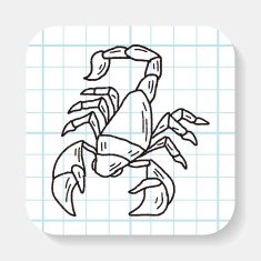 Scorpion doodle