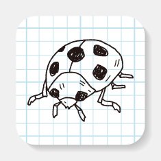 Ladybug doodle
