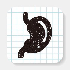 Doodle Stomach