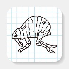 Flea doodle