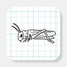 grasshopper doodle