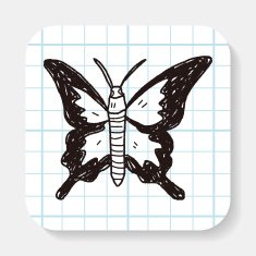 butterfly doodle