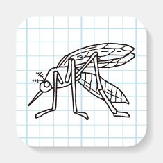 mosquito doodle