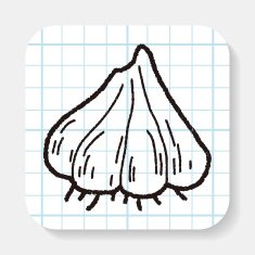 Garlic doodle N2