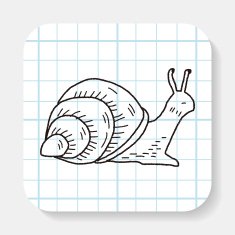 snail doodle
