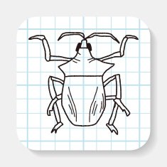 insect doodle N5