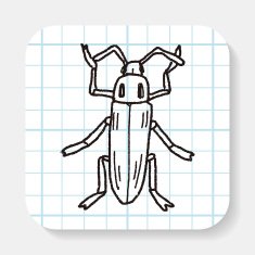 insect doodle N7