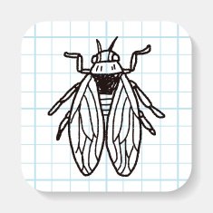 fly bug doodle