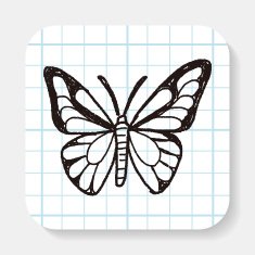 butterfly doodle N2
