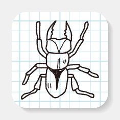 beetle doodle N5