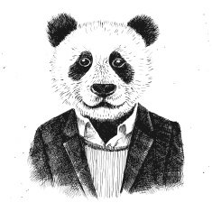 Hand drawn dressed up hipster panda N2