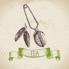 Tea vintage background Hand drawn sketch illustration Menu des N13
