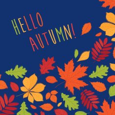 Hello autumn!
