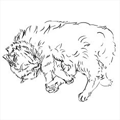 sketches of cats in different poses doodles N3