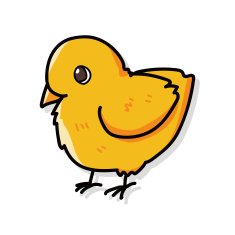 Chicken doodle N13