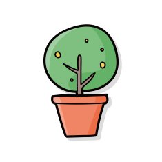 Cactus doodle N2