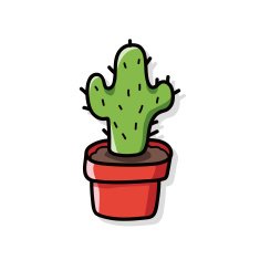 Cactus doodle N3