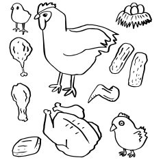 vector set of chicken and egg N2